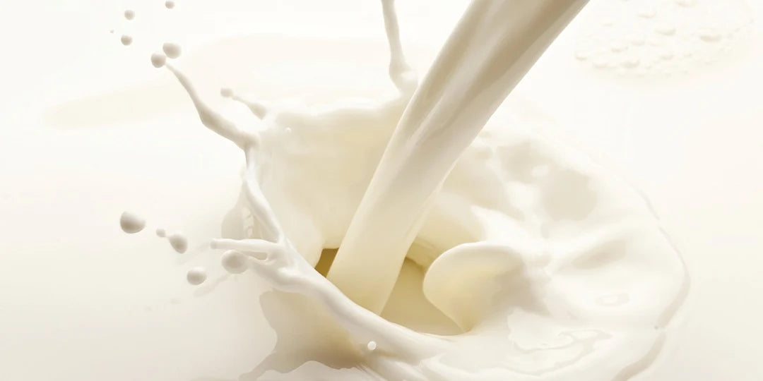 hydrolyzed milk protein
