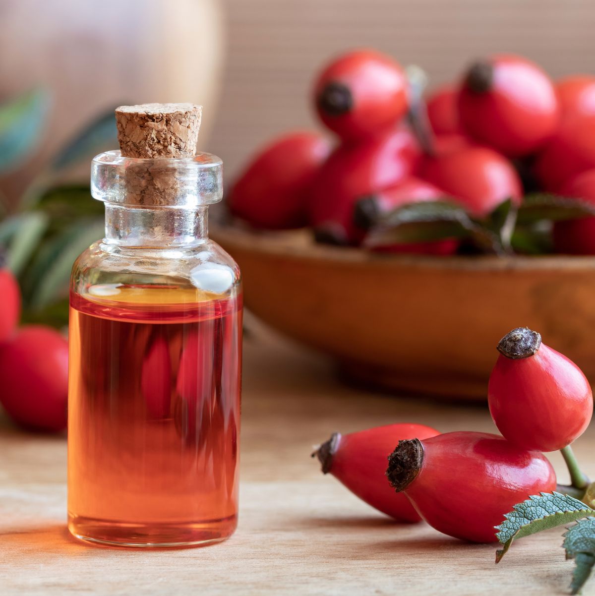 rose hip seed oil